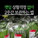 깻잎오래 보관하는법 이미지