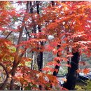 도솔민박 이미지