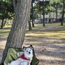 구시포노을캠핑장 | 스물네번째 캠핑! 고창 구시포노을캠핑장에서⛺