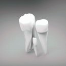 나비화이트치과의원 이미지