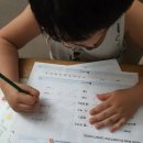 Cat garden 이미지