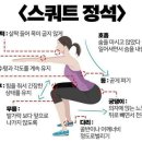 와이비 이미지