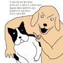 개밥도둑