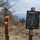 지리산둘레길 22코스(주천-밤재) | 지리산둘레길22코스 (feat. 산수유꽃)