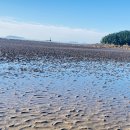 너와나 야영장 이미지