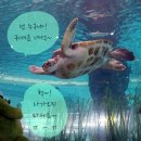 국립해양박물관 이미지