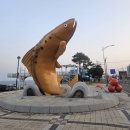 동해충전소 | [강원도 양양] 테슬라 충전소 후기｜황금연어공원 바다뷰