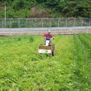 농기계임대사업소(춘양) 이미지