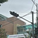 2025년 한국환경공단 필기시험 후기 (6급/환경직)- 어려워ㅠ