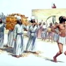 토브(TOV) 이미지