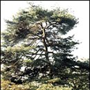 경기상업고등학교 이미지