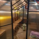 설어정 문지점 | [대전 문지동 맛집] 입안에서 살살 녹는 스테이크, '설어정 문지점' 솔직 후기!