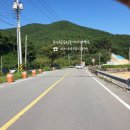 고성탑공인중개사사무소 이미지