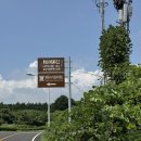 대유랜드입구 | 제주도클레이사격 체험! 대유랜드에서 즐긴 짜릿한 순간