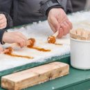 Sugar(슈가) 이미지