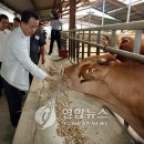 에스케이텔레콤양구 이미지