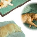 선녀와 강아지 이미지