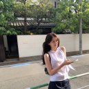 르플레인