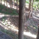 물무산행복숲둘레길 이미지