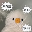 야무지게도많이먹은 .. 3월 일상 모음집 🤓