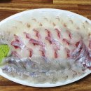 서민회수산 - 구미시 구미중앙로9길 14-3 | 서민회수산