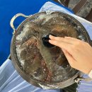 대왕수산 | 대왕 대하 양식장, 강화돼지수산 내돈내산 솔직후기