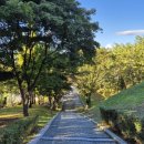 청성역사공원 지역 이미지