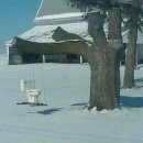 야외화장실 이미지