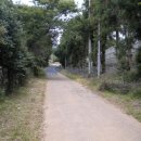 강정동-45 이미지