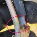 세보 태양광발전소 이미지