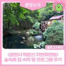 숲속공방 - 속초시 도리원4길 14 | <광양시 백운산 자연휴양림> 숲속의 집 숙박 및 프로그램 후기