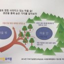 씨알유치원 이미지