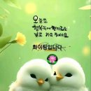 ♤~ 오미자 차/ 여행 가고싶다 ~ 이미지