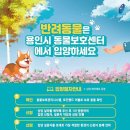 용인시 동물보호센터 이미지