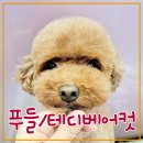 이쁘개 아름답개 이미지