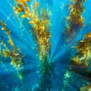 BOUNCE FITNESS 이미지