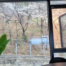 카페산무