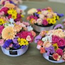 금마초등학교병설유치원 이미지