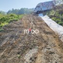 물골농장 이미지