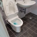 금빛크린 이미지