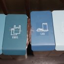 대관령로뎀나무 이미지