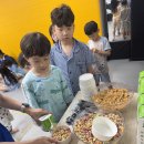 용인대 태풍 태권도장 이미지