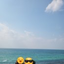 와 진짜 감동감동감동의 박팀장 투어 2 (feat.강찬모 팀장님)