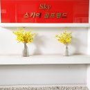 스카이골프랜드 | 연습용골프공 대량 공급 – 스카이 골프 랜드 18,000개