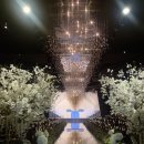 오스카호텔 | wedding) 인천 카리스 호텔 웨딩 오스카 홀 계약 후기