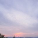 접도가든 | 쏠비치 진도 패밀리 취사 하프 오션뷰 후기 ft. 야경과 라벤더 가든 산책