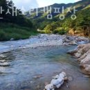 산새소리캠핑장 이미지