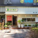 덤수제만두 이미지