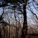 미륵산 연수원 이미지