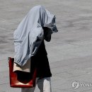 햇볕 이미지
